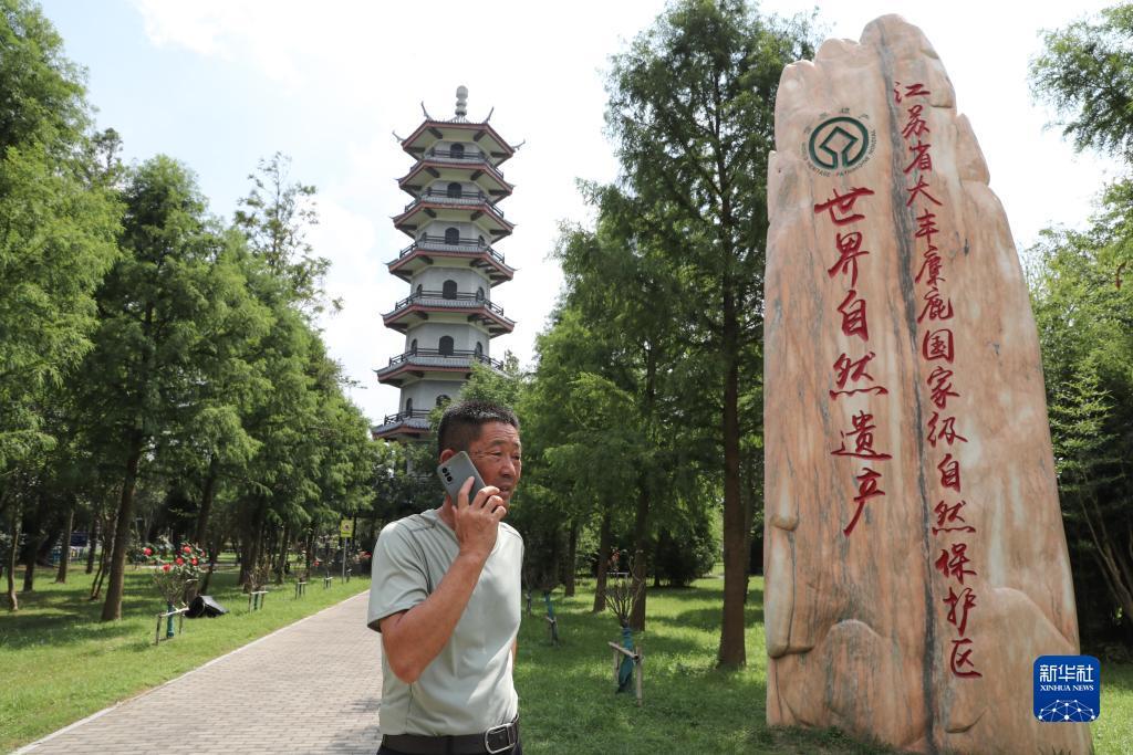 牛牛金花游戏app